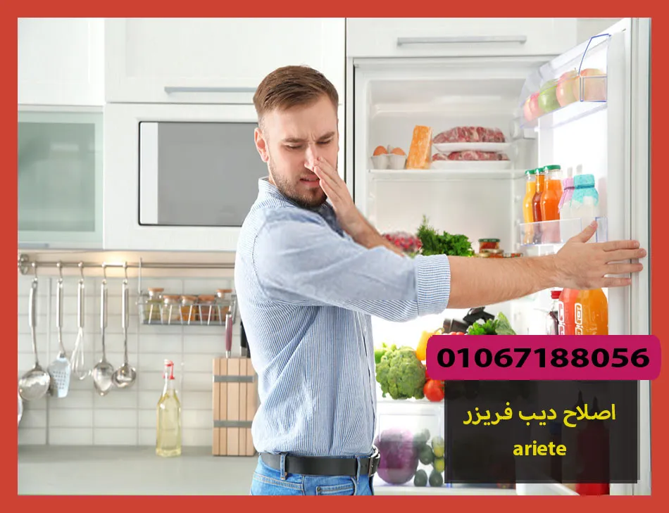 اصلاح ديب فريزر ariete