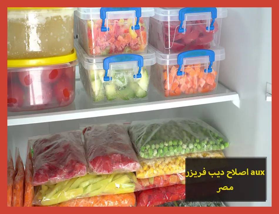 اصلاح ديب فريزر aux مصر