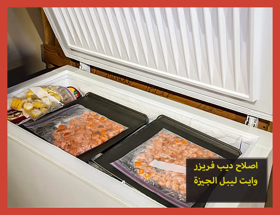 اصلاح ديب فريزر وايت ليبل الجيزة