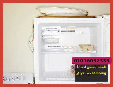 الخط الساخن لصيانة ديب فريزر hamburg | صيانة ديب فريزر هامبورج