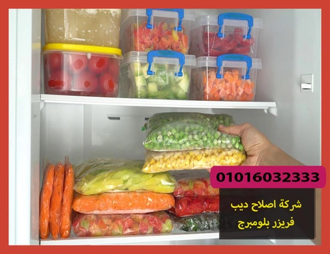 شركة اصلاح ديب فريزر بلومبرج