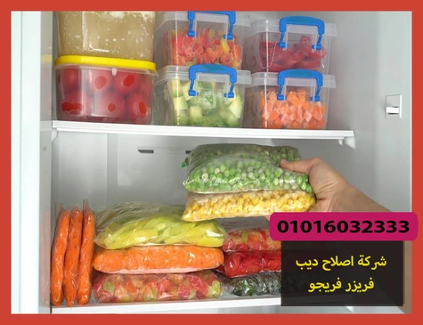 شركة اصلاح ديب فريزر فريجو