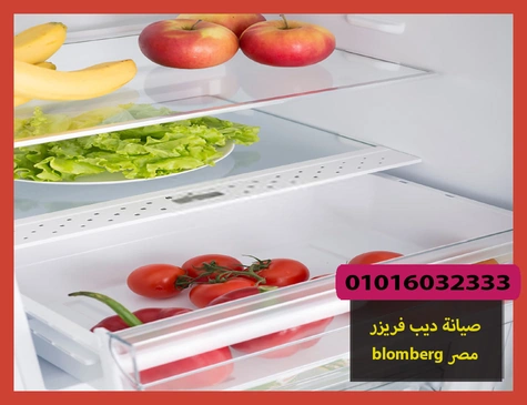 صيانة ديب فريزر blomberg مصر | صيانة ديب فريزر بلومبرج
