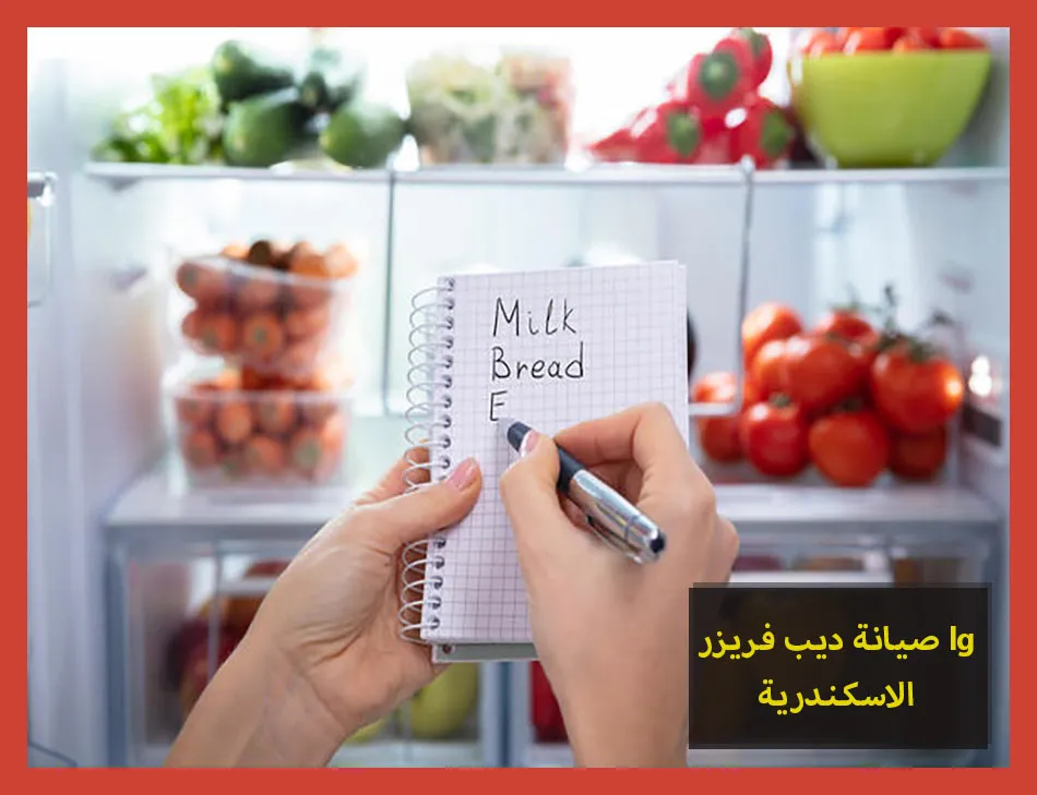 صيانة ديب فريزر lg الاسكندرية