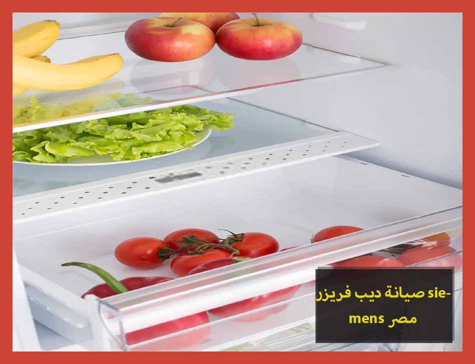 صيانة ديب فريزر siemens مصر | صيانة ديب فريزر سيمنس