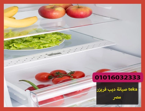 صيانة ديب فريزر teka مصر | صيانة ديب فريزر تيكا