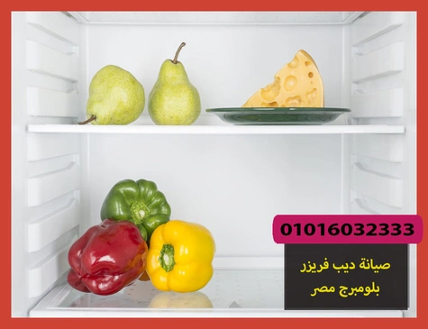 صيانة ديب فريزر بلومبرج مصر