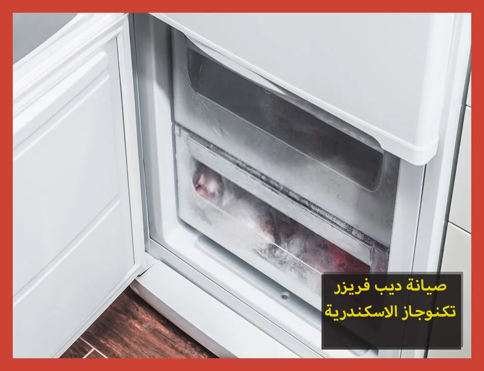 صيانة ديب فريزر تكنوجاز الاسكندرية