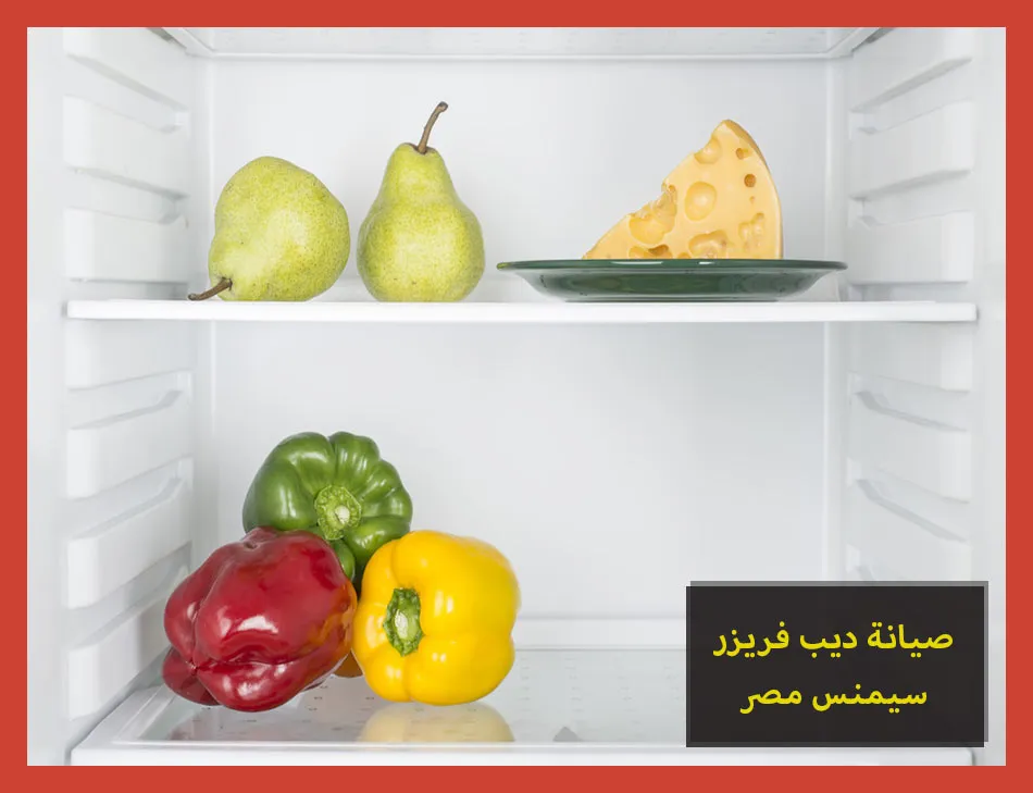 صيانة ديب فريزر سيمنس مصر