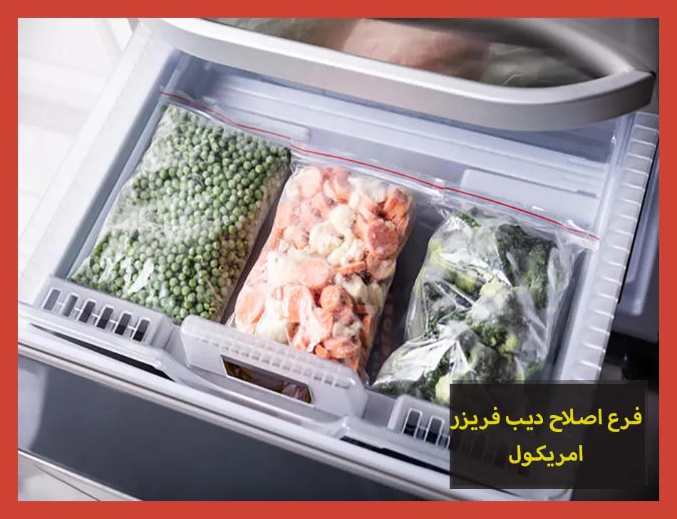 فرع اصلاح ديب فريزر امريكول | صيانة ديب فريزر امريكول