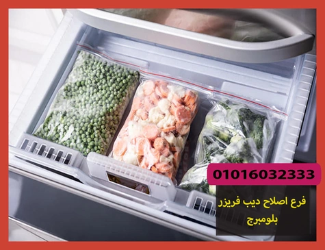 فرع اصلاح ديب فريزر بلومبرج | صيانة ديب فريزر بلومبرج