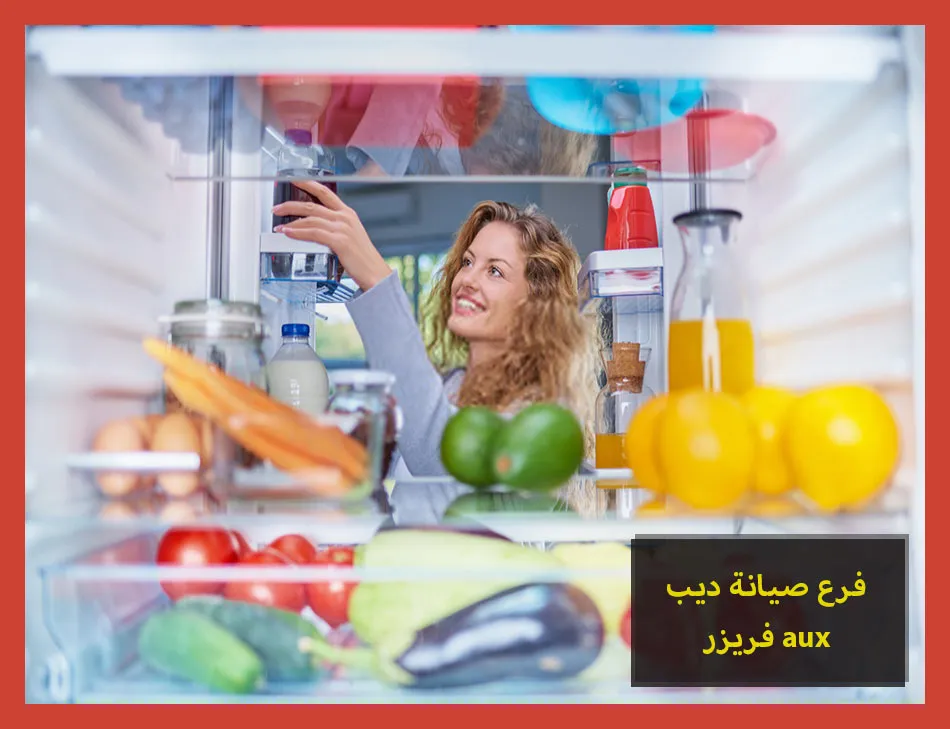 فرع صيانة ديب فريزر aux | صيانة ديب فريزر اوكس