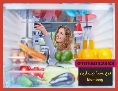 فرع صيانة ديب فريزر blomberg | صيانة ديب فريزر بلومبرج