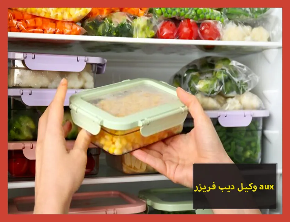 وكيل ديب فريزر aux