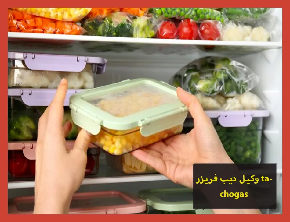 وكيل ديب فريزر tecnogas