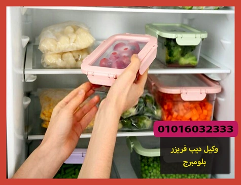 وكيل ديب فريزر بلومبرج