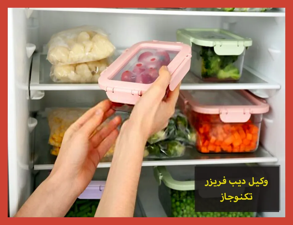 وكيل ديب فريزر تكنوجاز