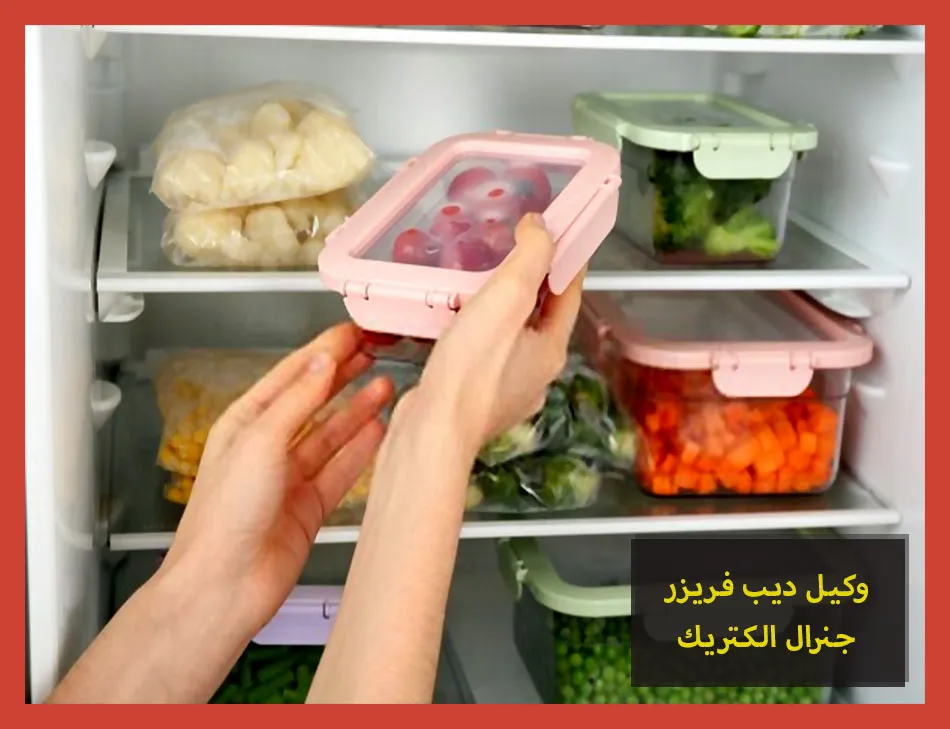 وكيل ديب فريزر جنرال الكتريك