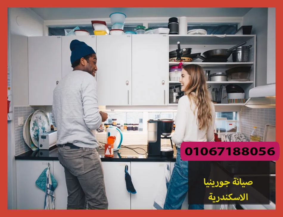 صيانة جورينيا الاسكندرية | Gorenje Maintenance Center