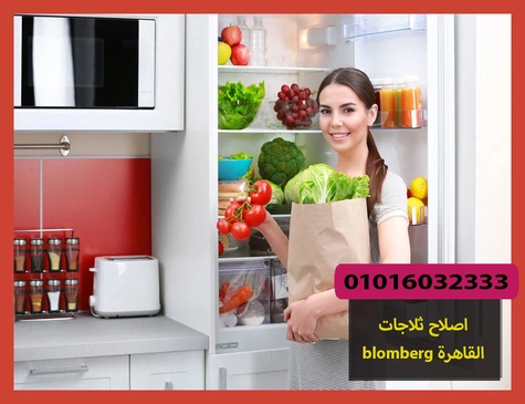 اصلاح ثلاجات blomberg القاهرة