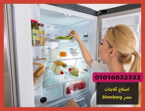 اصلاح ثلاجات blomberg مصر