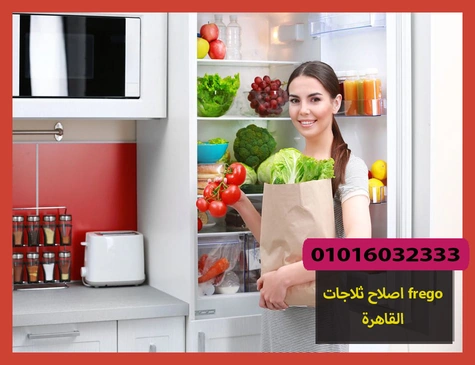 اصلاح ثلاجات frego القاهرة