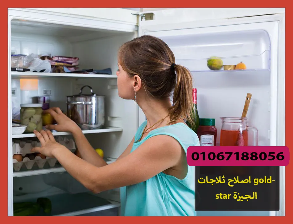 اصلاح ثلاجات goldstar الجيزة