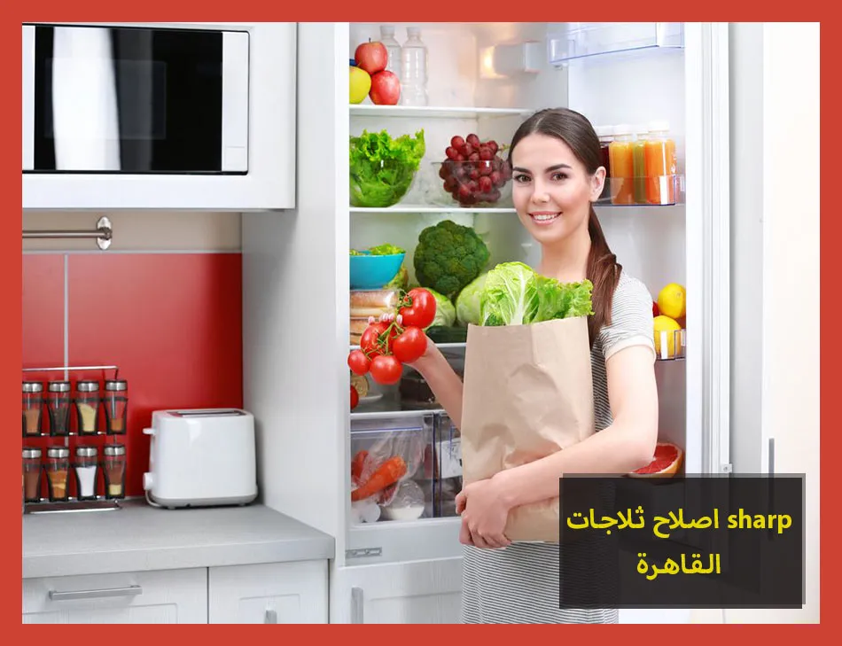اصلاح ثلاجات sharp القاهرة