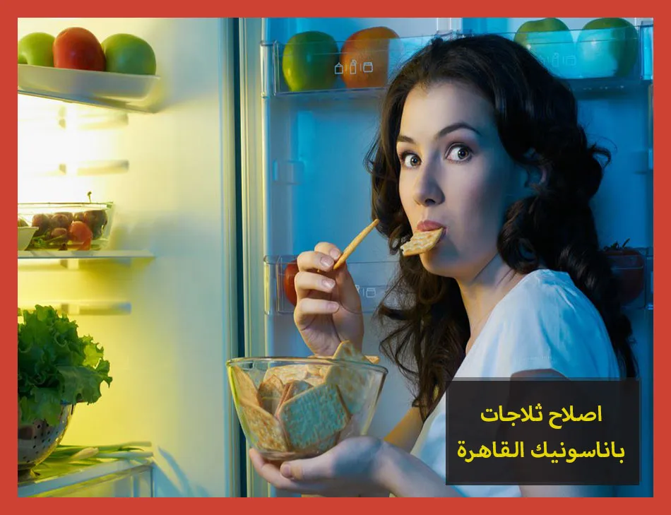اصلاح ثلاجات باناسونيك القاهرة