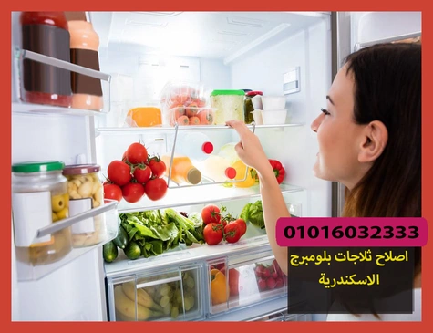 اصلاح ثلاجات بلومبرج الاسكندرية | صيانة ثلاجات بلومبرج