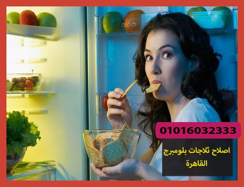 اصلاح ثلاجات بلومبرج القاهرة | صيانة ثلاجات بلومبرج