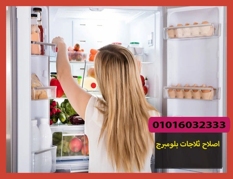 اصلاح ثلاجات بلومبرج | صيانة ثلاجات بلومبرج