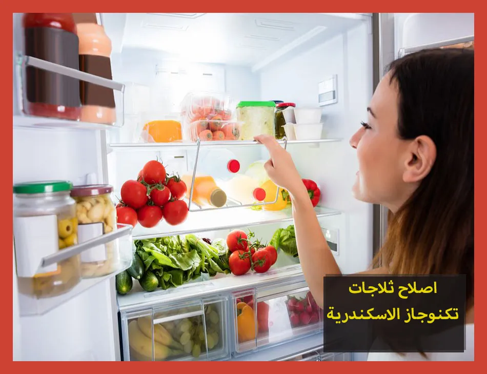 اصلاح ثلاجات تكنوجاز الاسكندرية