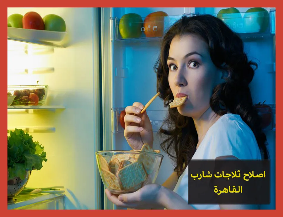اصلاح ثلاجات شارب القاهرة | صيانة ثلاجات شارب