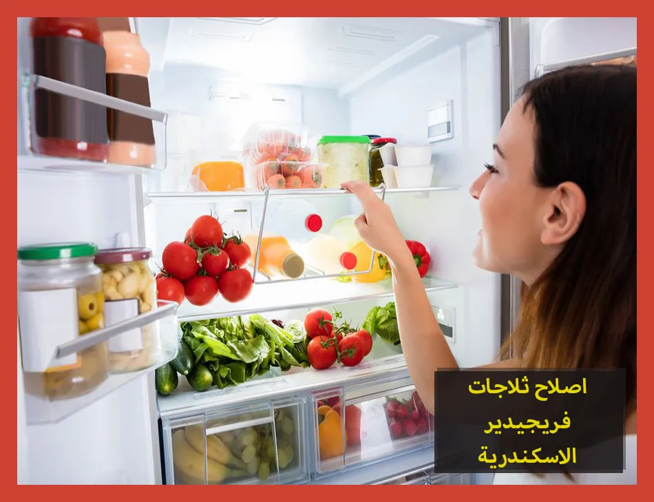 اصلاح ثلاجات فريجيدير الاسكندرية