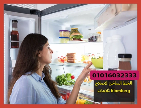 الخط الساخن لاصلاح ثلاجات blomberg | تصليح ثلاجات بلومبرج