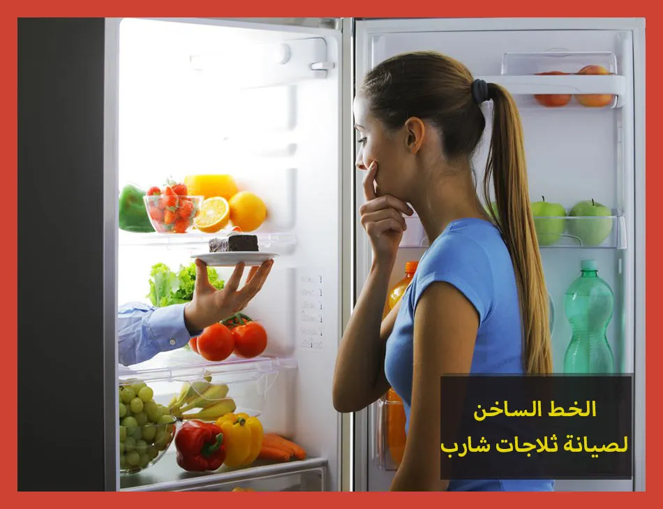 الخط الساخن لصيانة ثلاجات شارب | تصليح ثلاجات شارب