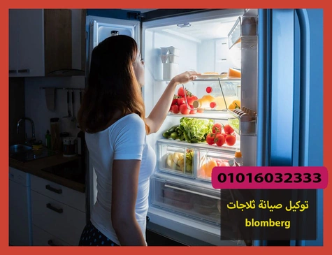 توكيل صيانة ثلاجات blomberg
