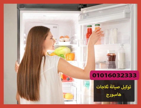 توكيل صيانة ثلاجات هامبورج
