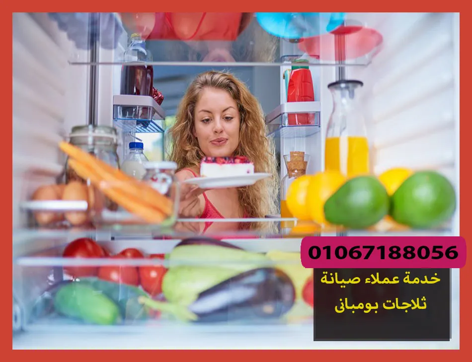 خدمة عملاء صيانة ثلاجات بومبانى