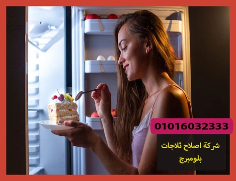 شركة اصلاح ثلاجات بلومبرج
