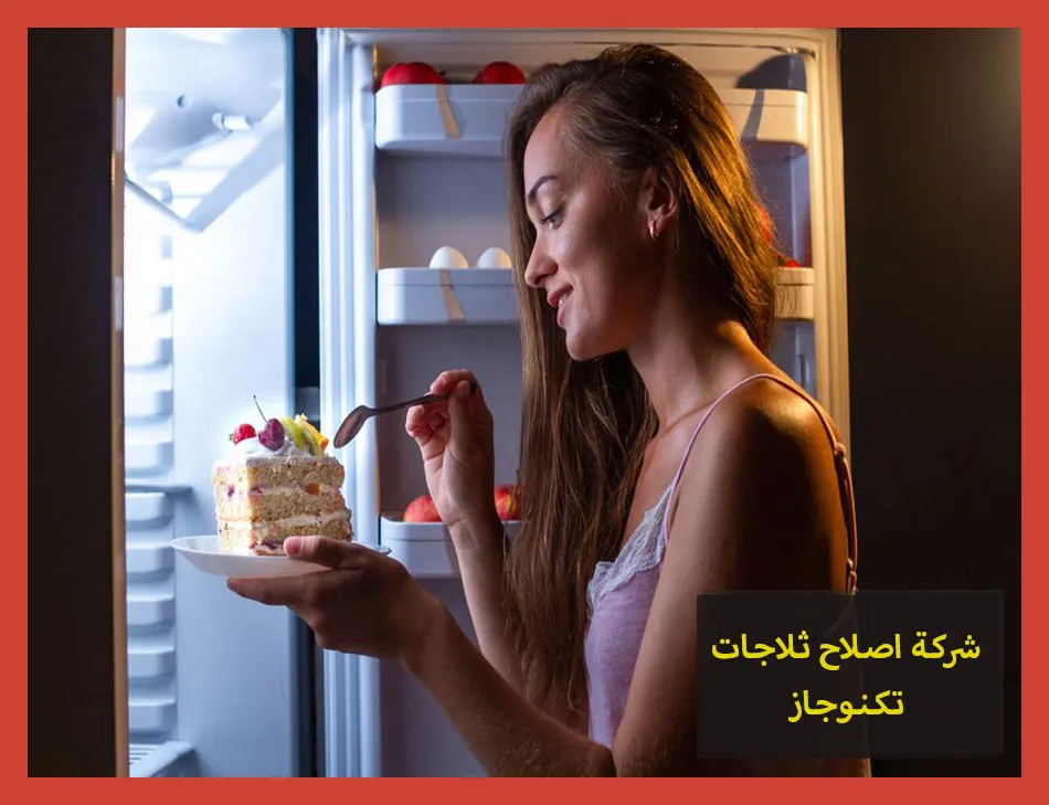 شركة اصلاح ثلاجات تكنوجاز