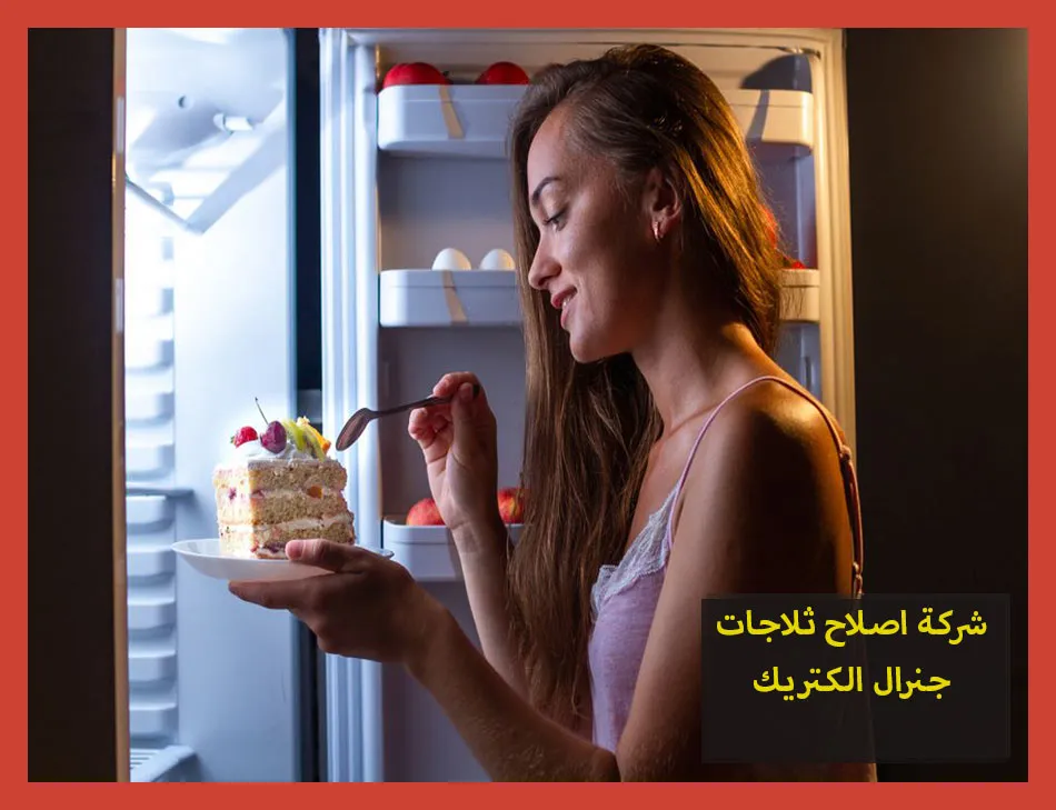 شركة اصلاح ثلاجات جنرال الكتريك | صيانة ثلاجات جنرال الكتريك