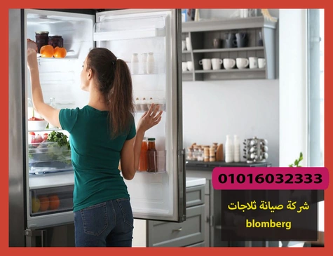 شركة صيانة ثلاجات blomberg