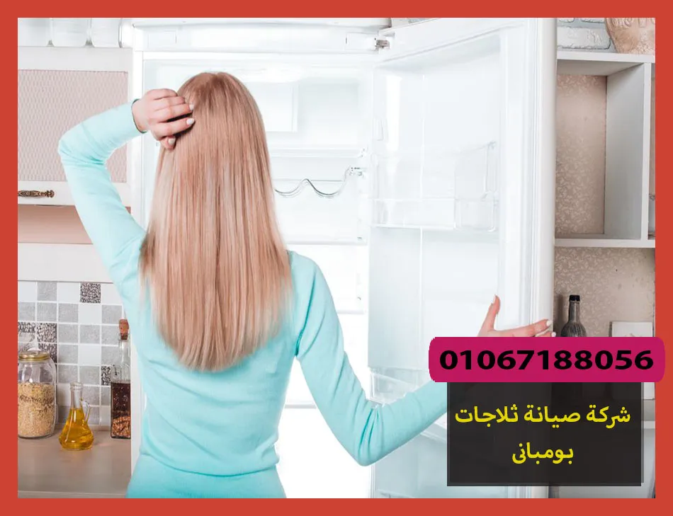شركة صيانة ثلاجات بومبانى