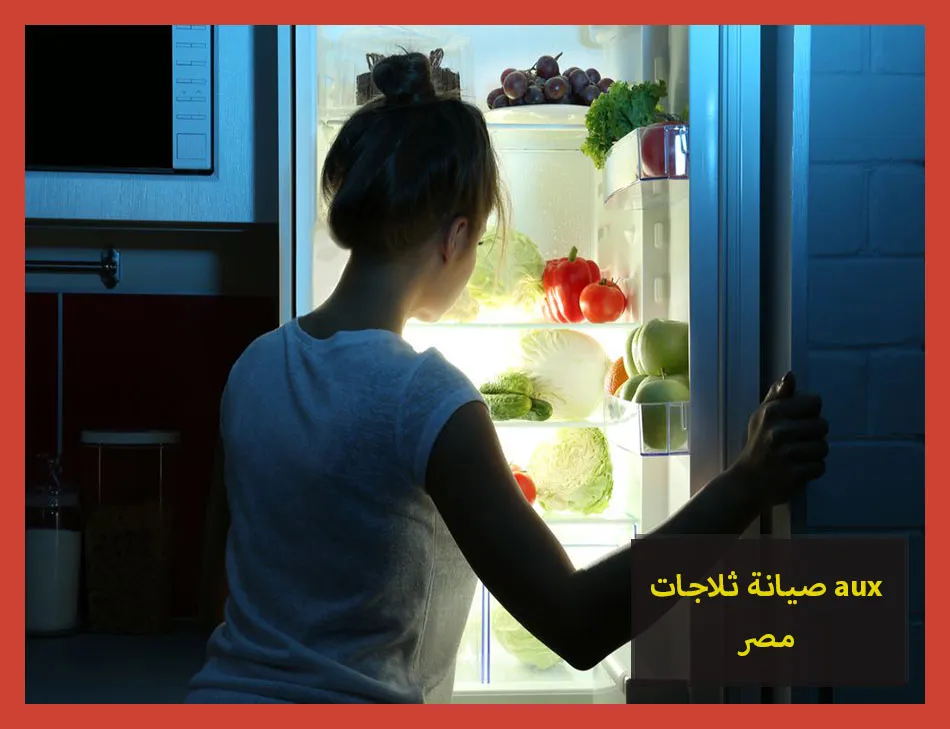 صيانة ثلاجات aux مصر | صيانة ثلاجات اوكس