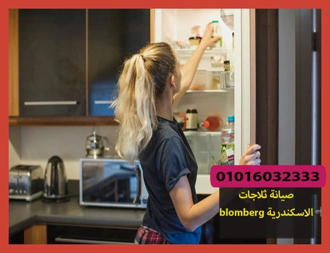 صيانة ثلاجات blomberg الاسكندرية | صيانة ثلاجات بلومبرج