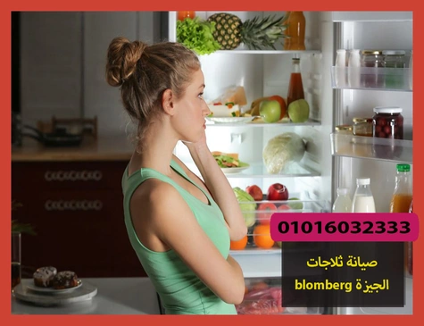 صيانة ثلاجات blomberg الجيزة | صيانة ثلاجات بلومبرج