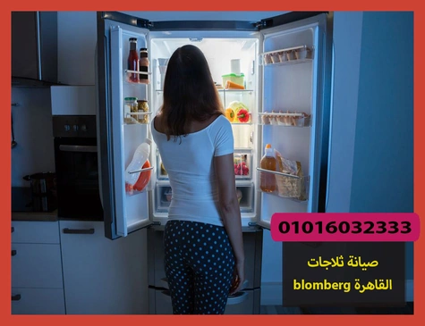 صيانة ثلاجات blomberg القاهرة | صيانة ثلاجات بلومبرج