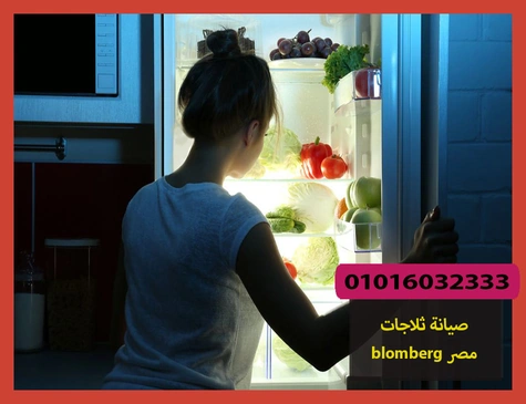 صيانة ثلاجات blomberg مصر | صيانة ثلاجات بلومبرج